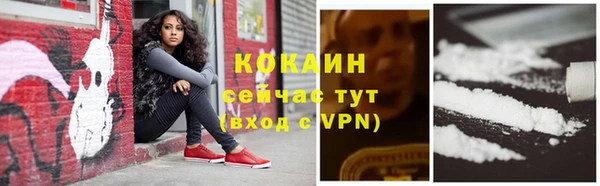 дмт Вяземский
