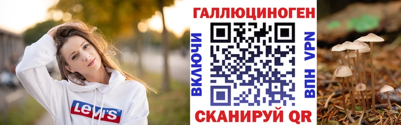 Галлюциногенные грибы Psilocybe  Петропавловск-Камчатский 