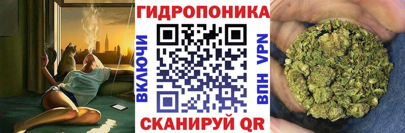 закладка  Петропавловск-Камчатский  мега зеркало  Бошки марихуана конопля 